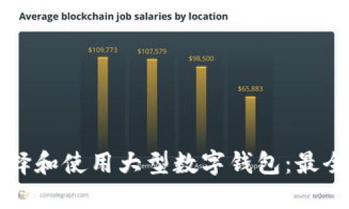 如何选择和使用大型数字钱包：最全面指南