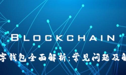 国际数字钱包全面解析：常见问题及解决方案
