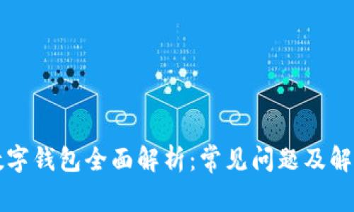 国际数字钱包全面解析：常见问题及解决方案