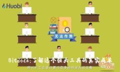Bitdock：了解这个强大工具