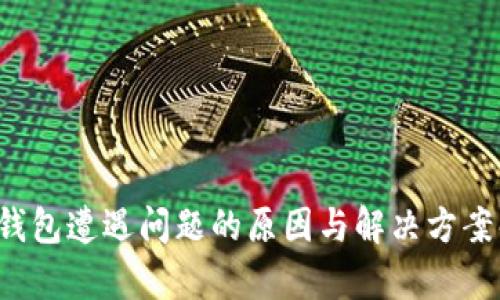 TP钱包遭遇问题的原因与解决方案解析
