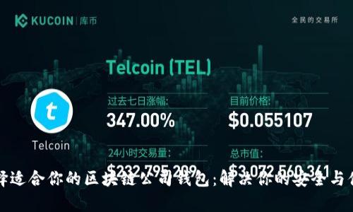 如何选择适合你的区块链公司钱包：解决你的安全与便捷痛点