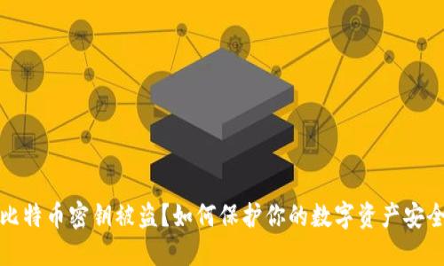 比特币密钥被盗？如何保护你的数字资产安全