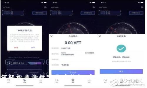 如何轻松查询数字货币钱包：完整指南与最佳实践
