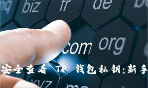 如何安全查看 TP 钱包私钥:新手指南