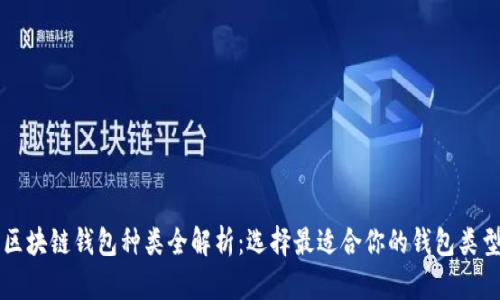 区块链钱包种类全解析：选择最适合你的钱包类型