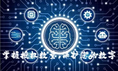 TP钱包: 掌握授权数量,保护您的数字资产安全
