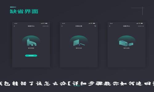 TP钱包转错了该怎么办?详细步骤教你如何追回资金