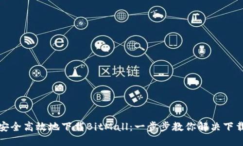如何安全高效地下载BitMall:一步步教你解决下载难题