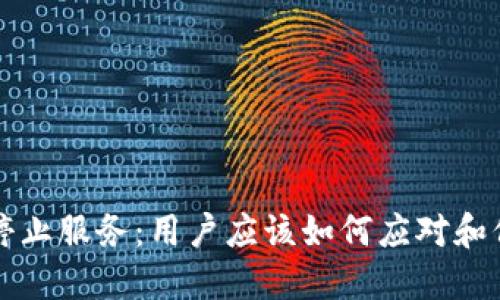 TP钱包停止服务:用户应该如何应对和保护资产