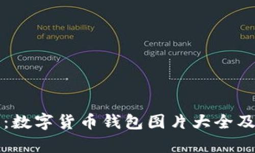 全面解析：数字货币钱包图片大全及选择指南