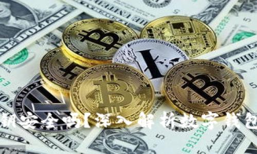 TP钱包私钥安全吗？深入解析数字钱包安全问题