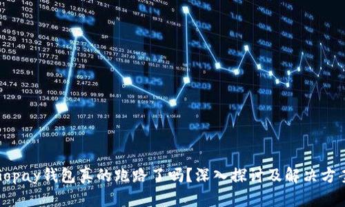 Gopay钱包真的跑路了吗?深入探讨及解决方案