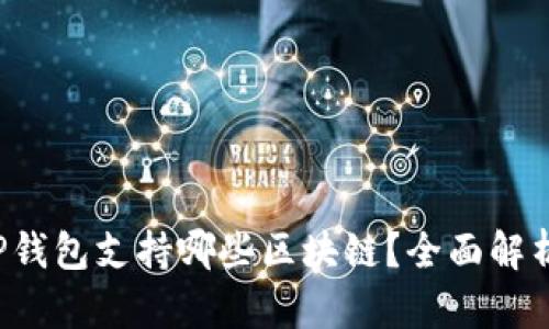 TP钱包支持哪些区块链？全面解析！