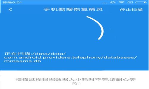 派币到底值不值钱？深入解读与未来展望