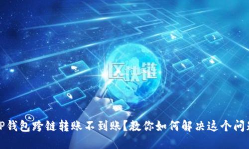 TP钱包跨链转账不到账?教你如何解决这个问题